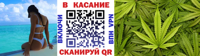 Купить наркотики сайты Новороссийск kraken ССЫЛКА  АМФЕТАМИН  Alpha-PVP  Кетамин  Галлюциногенные грибы  Меф  ГАШ  КОКАИН 