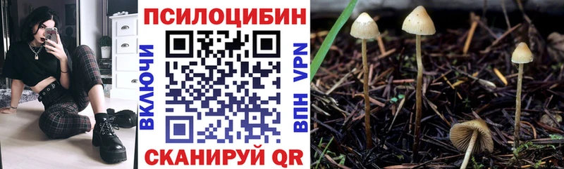 Псилоцибиновые грибы мицелий Новороссийск